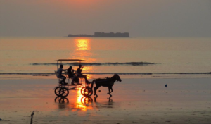 Mandwa & Alibaug Travel Guide